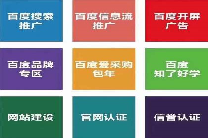 成功案例：SEM推广助力品牌线上线下联动